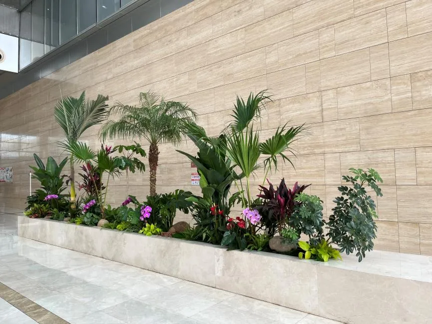 镇海盆景租摆，让空间瞬间增添独特自然韵味